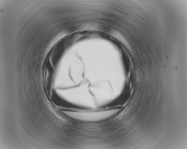 X0000075361043200609291456