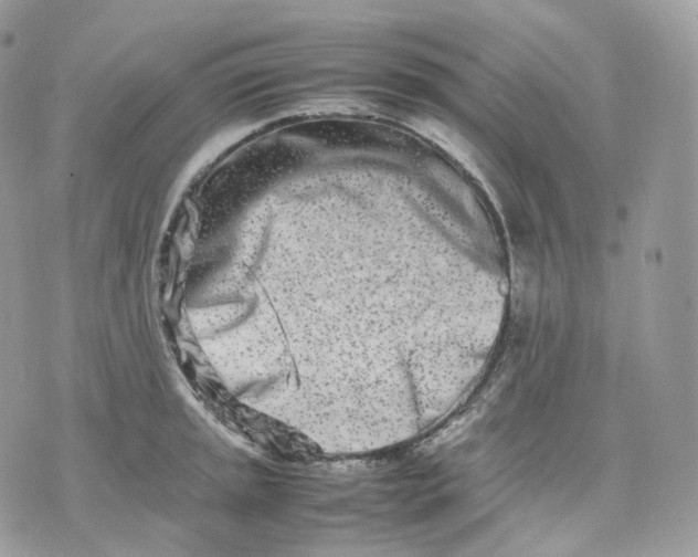 X0000075361045200609291456