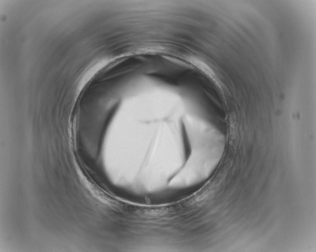 X0000075361047200609291456