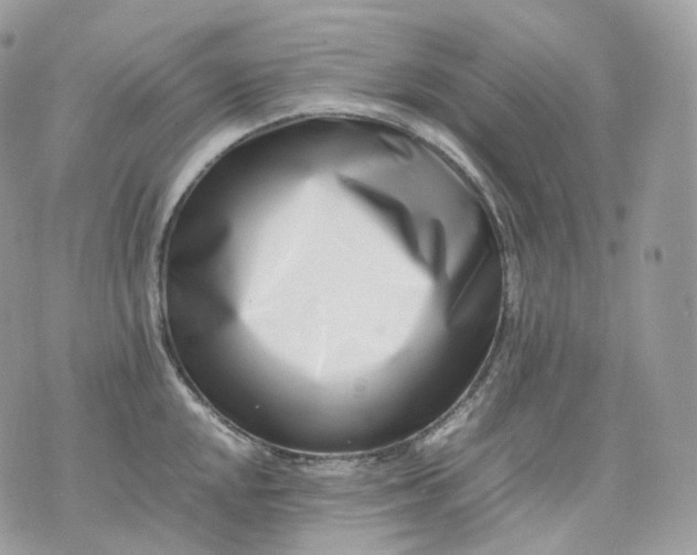 X0000075361048200609291456