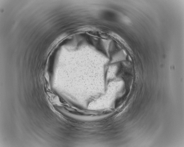 X0000075361049200609291456