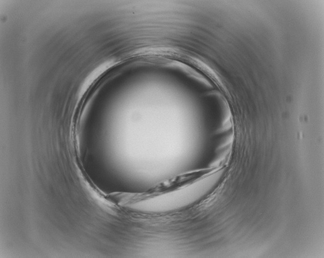 X0000075361050200609291456