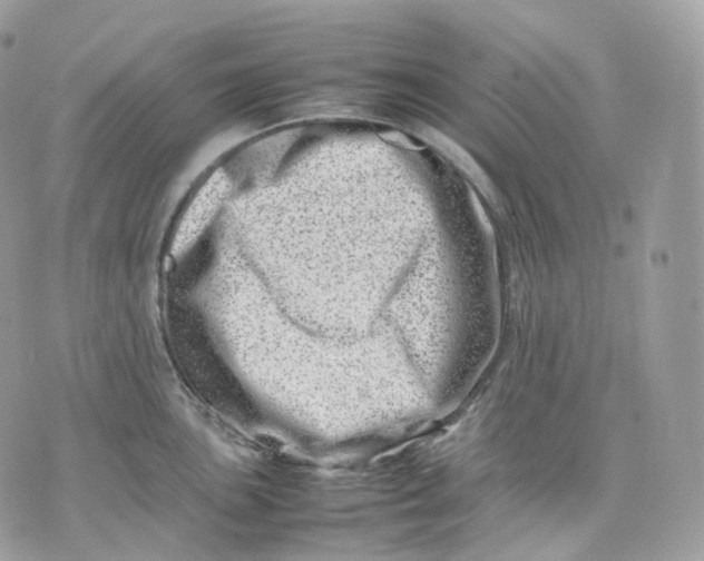 X0000075361051200609291456