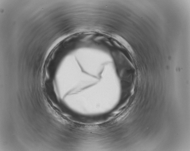 X0000075361052200609291456