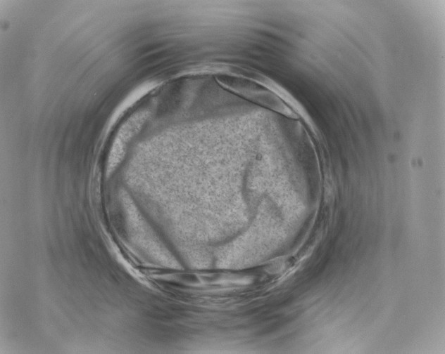 X0000075361053200609291456