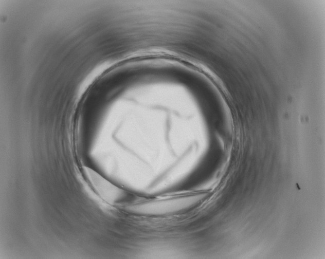 X0000075361054200609291456