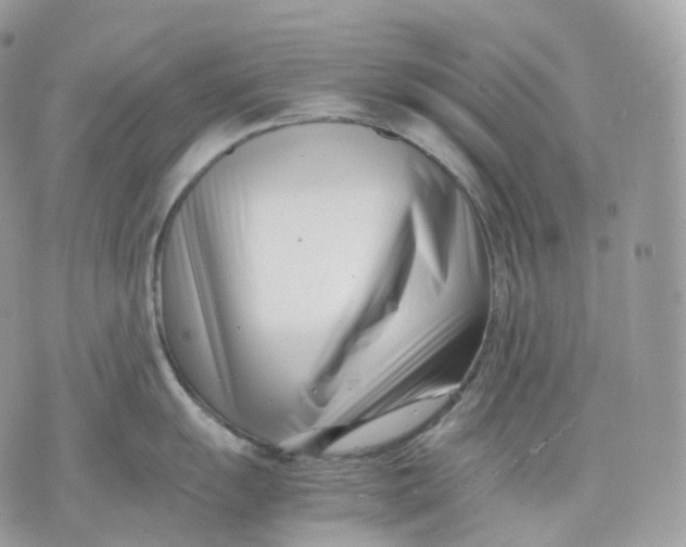 X0000075361055200609291456