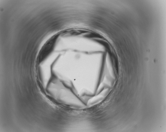 X0000075361056200609291456