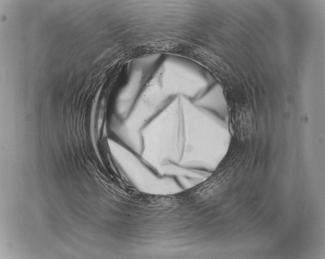 X0000075361058200609291455