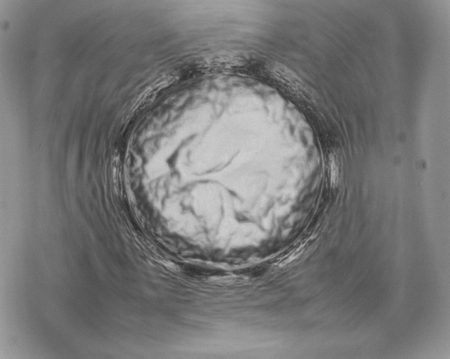 X0000075361059200609291455