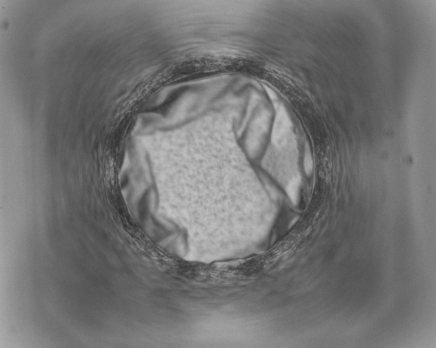 X0000075361061200609291455