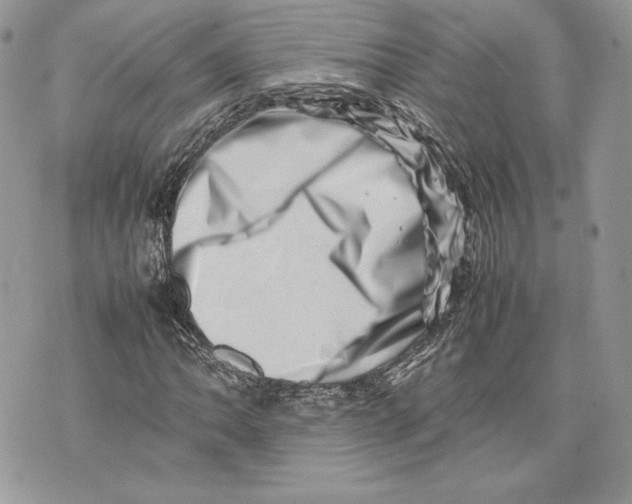 X0000075361062200609291455