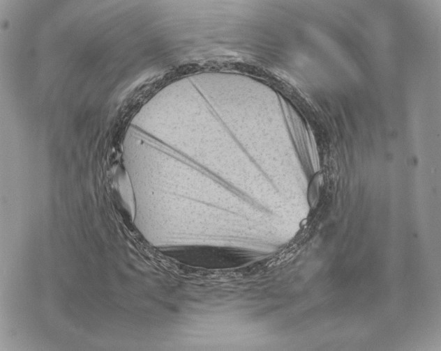 X0000075361063200609291455