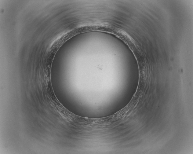 X0000075361064200609291455