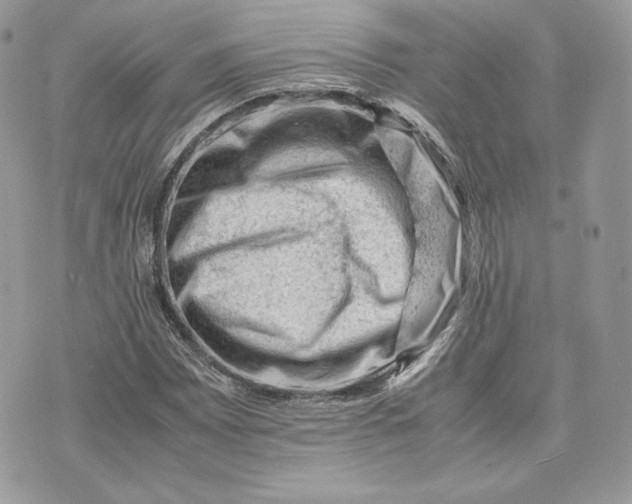 X0000075361065200609291455