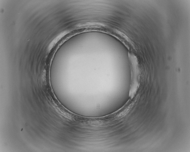 X0000075361066200609291455