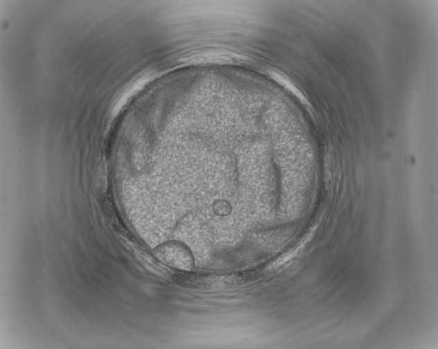 X0000075361067200609291455