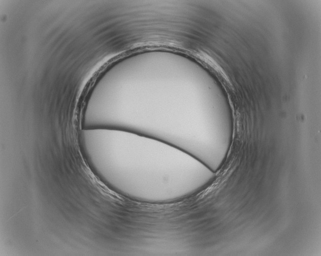 X0000075361068200609291455