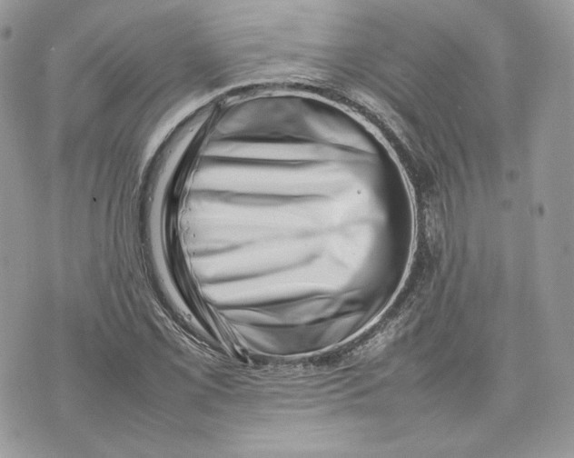 X0000075361069200609291455