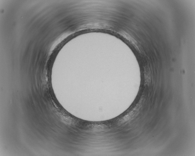 X0000075361070200609291455