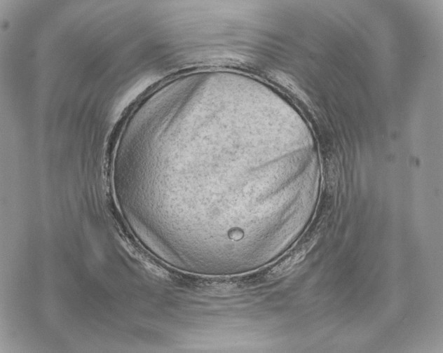 X0000075361071200609291455