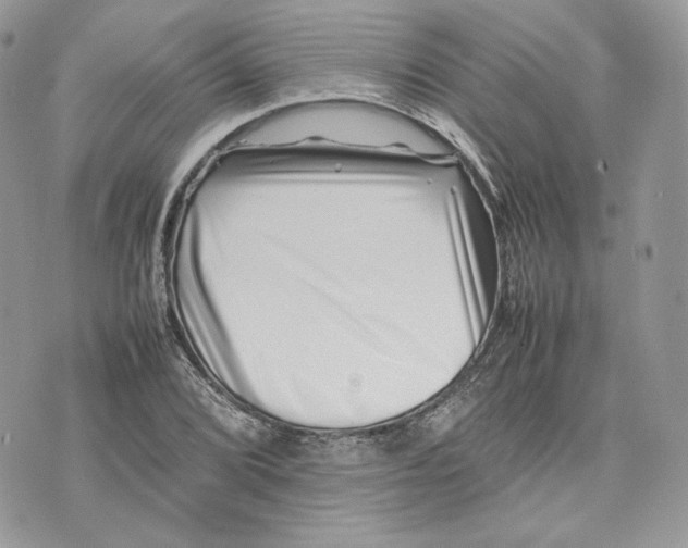 X0000075361072200609291455