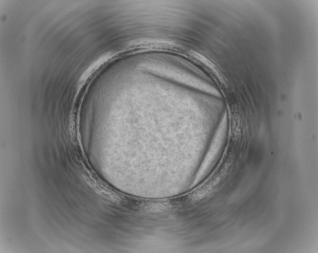 X0000075361074200609291455