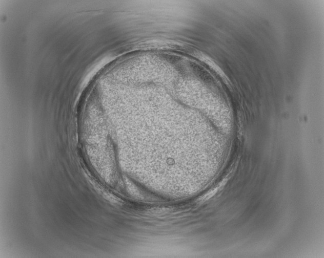 X0000075361075200609291455