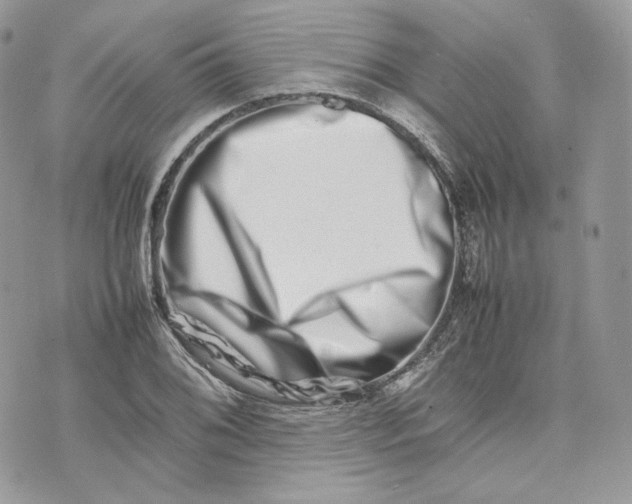 X0000075361076200609291455