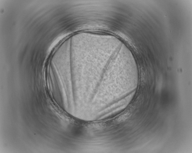 X0000075361078200609291455