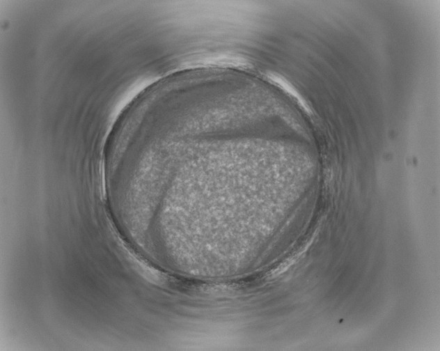 X0000075361079200609291455