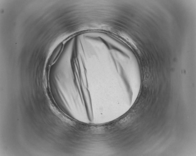 X0000075361080200609291455