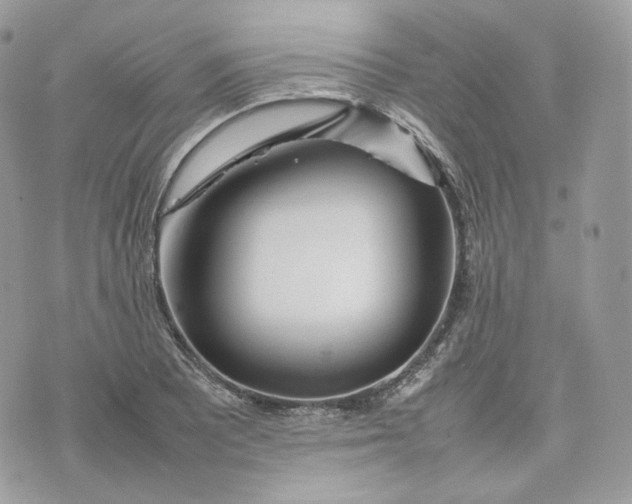 X0000075361081200609291455