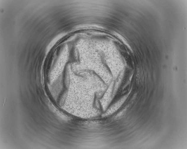 X0000075361082200609291455