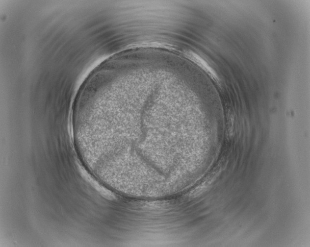 X0000075361084200609291455