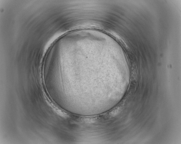 X0000075361086200609291455