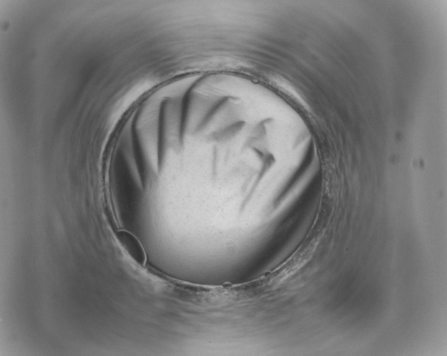 X0000075361087200609291455