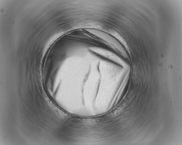 X0000075361088200609291455