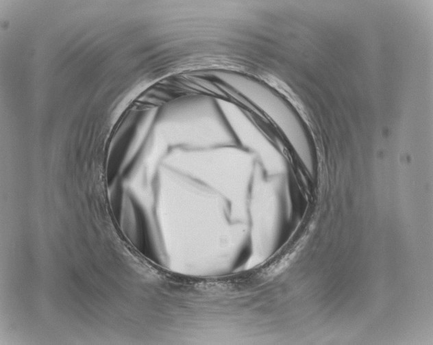 X0000075361089200609291455