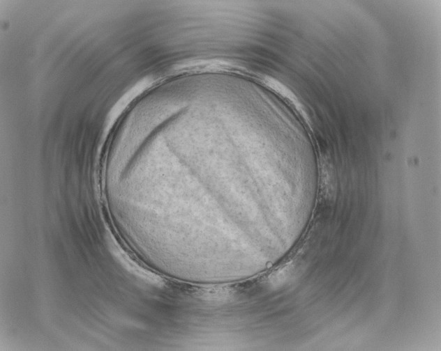 X0000075361090200609291455