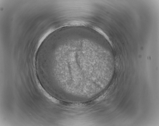 X0000075361091200609291455