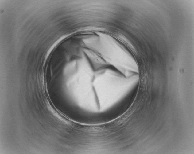 X0000075361092200609291455