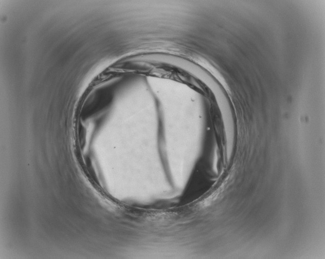 X0000075361093200609291455