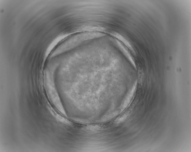 X0000075361094200609291455