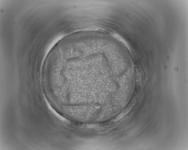 X0000075361095200609291455