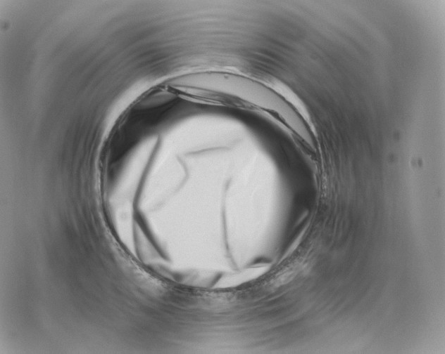 X0000075361096200609291455