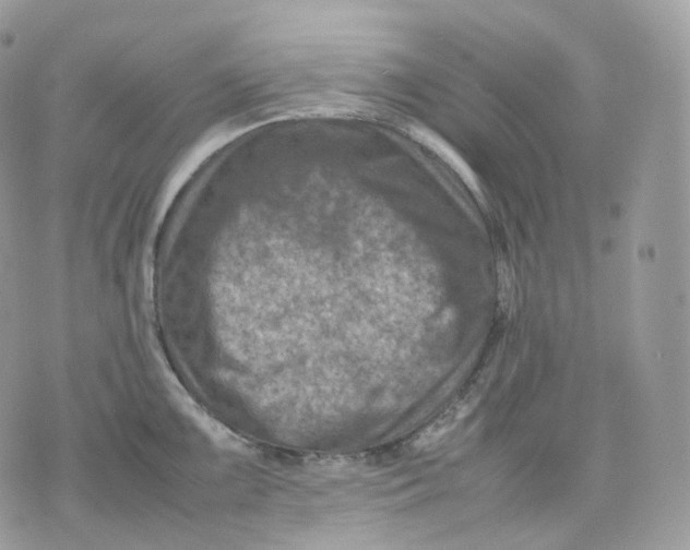 X0000075361099200609291454