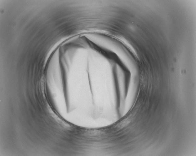 X0000075361100200609291454