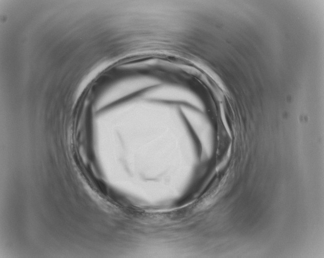 X0000075361101200609291454