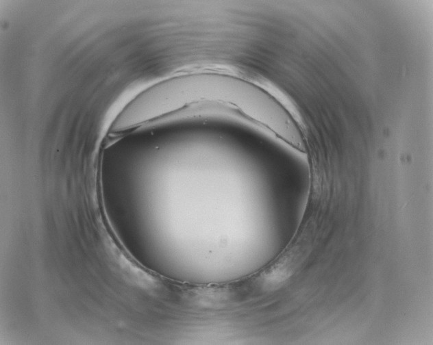 X0000075361102200609291454